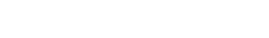 Picus Capital