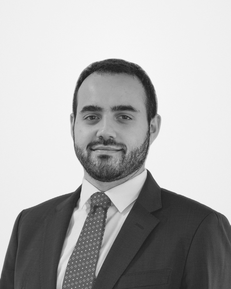 Ludovico Buffo